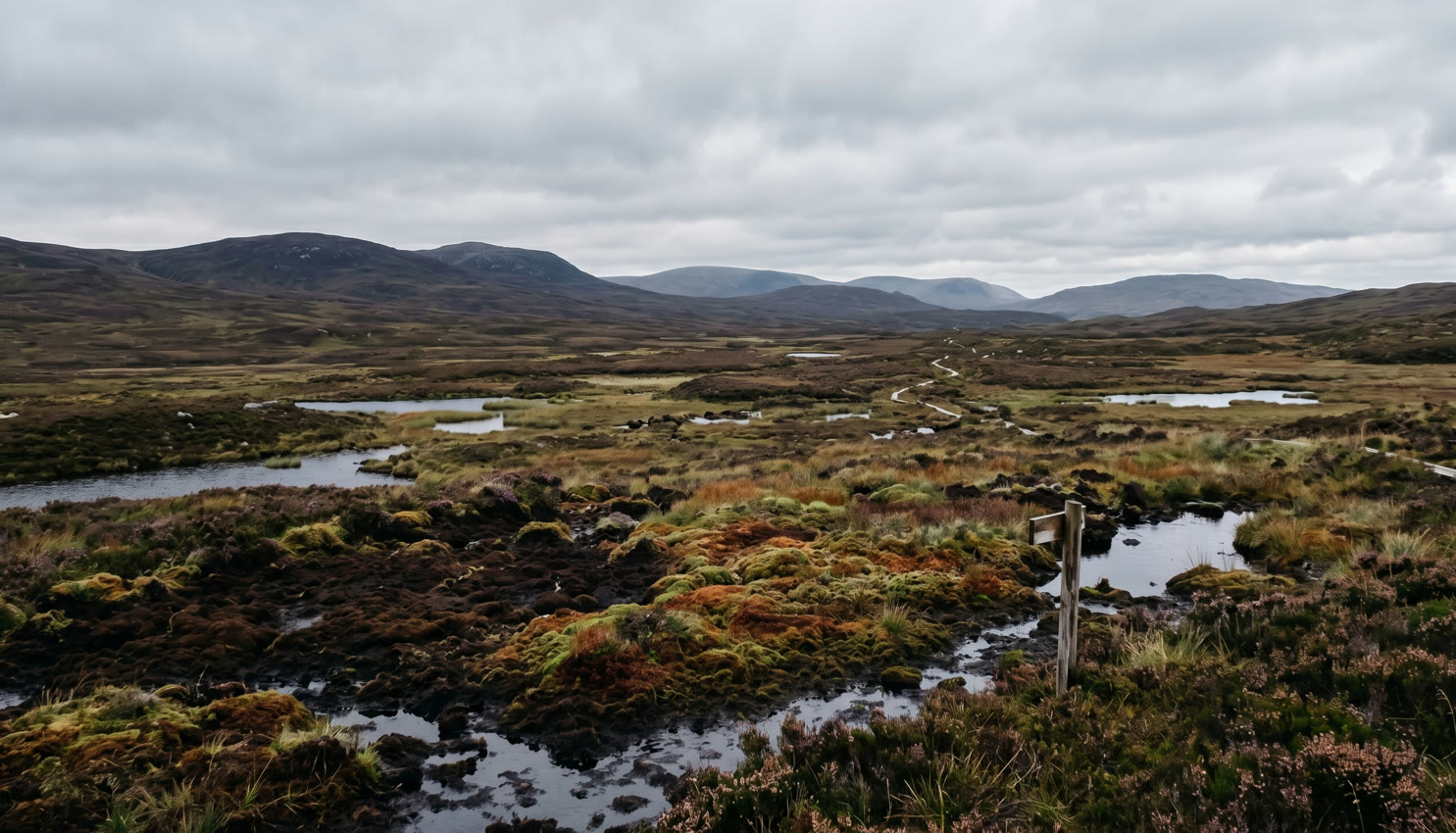 Cutting peat from a bog